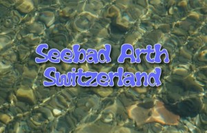 Seebad Arth 2012
